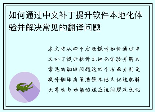 如何通过中文补丁提升软件本地化体验并解决常见的翻译问题